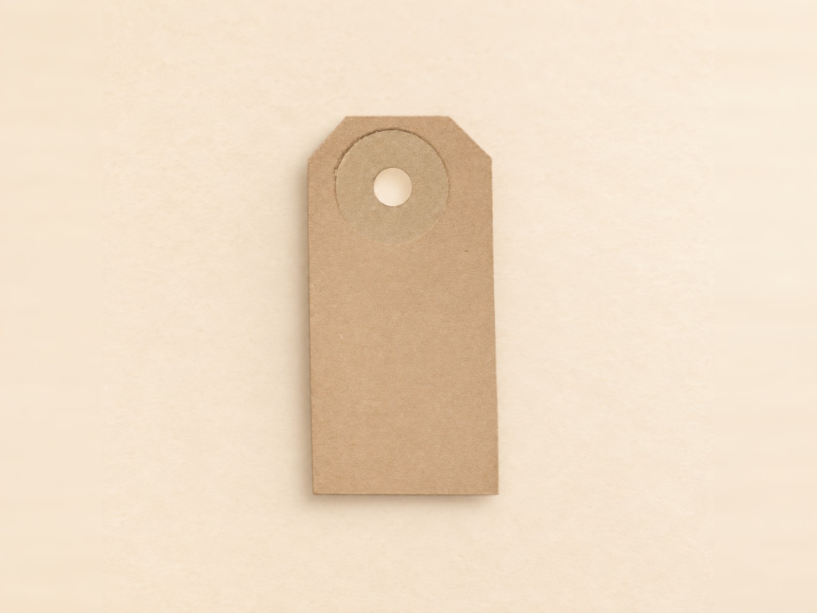 Kraft Hang Tag with reinforced eyelet
